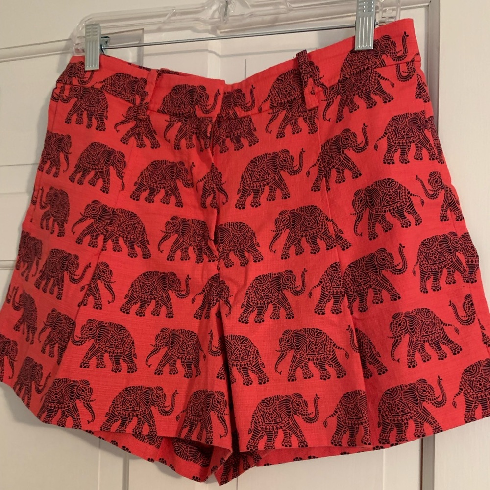 J crew elephant shorts size 8